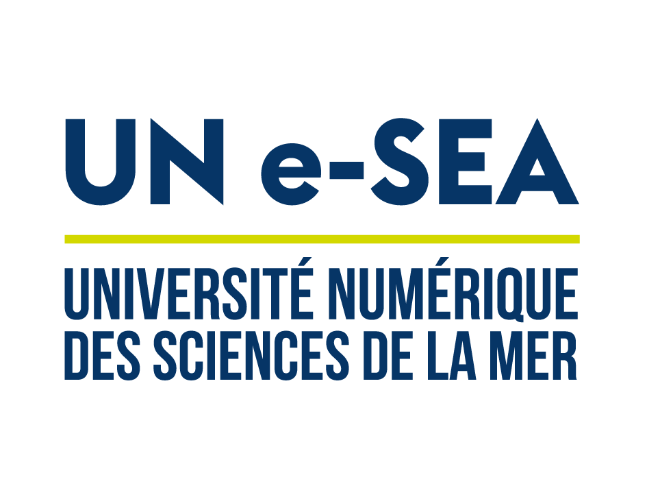 logo UN e-SEA